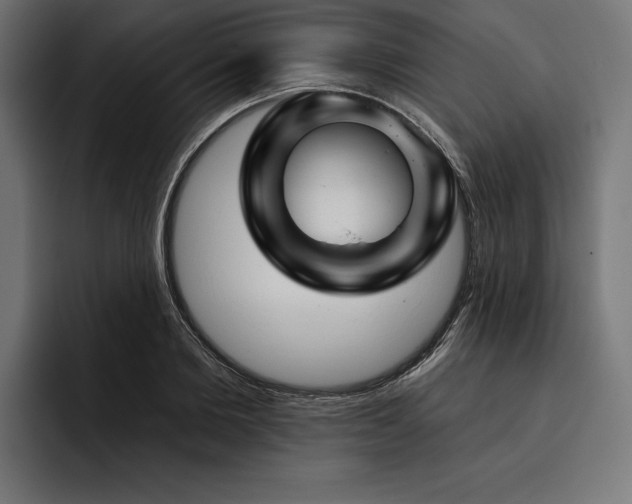X0000093400885200710121057
