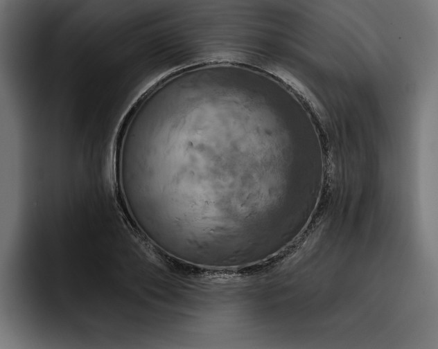 X0000093400886200710121057