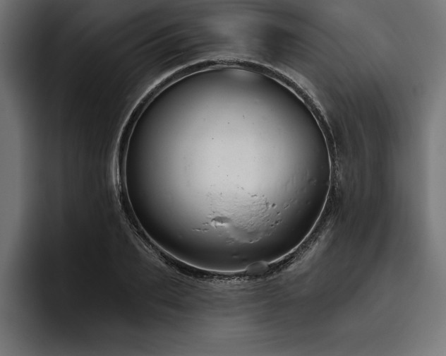 X0000093400887200710121057