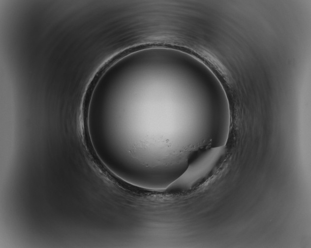 X0000093400888200710121057