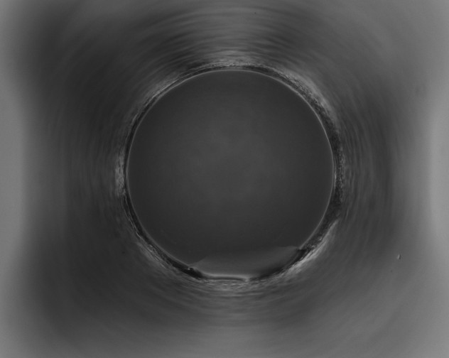 X0000093400889200710121057