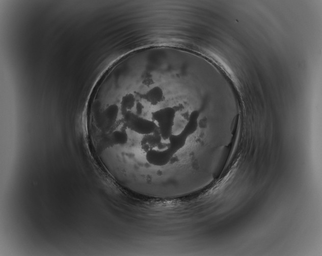 X0000093400891200710121057