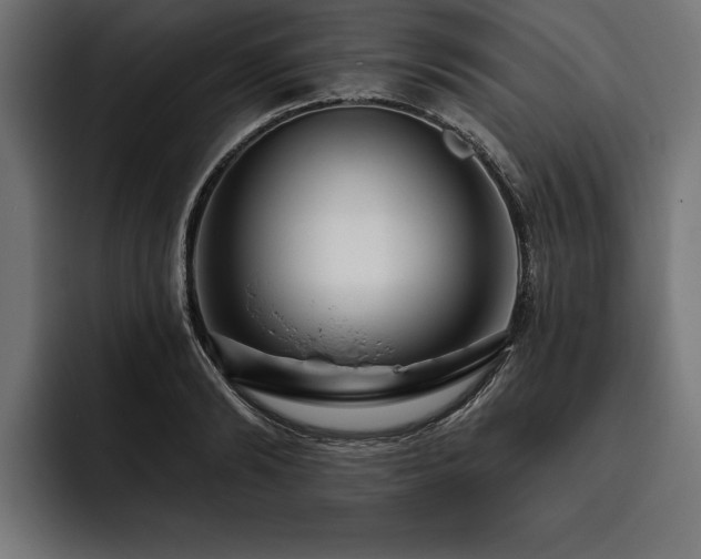 X0000093400894200710121057