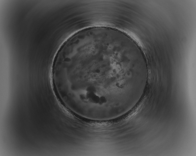 X0000093400895200710121057