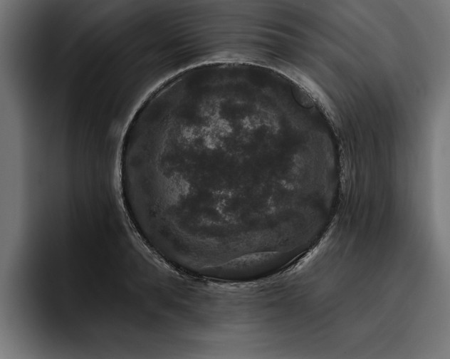 X0000093400896200710121057