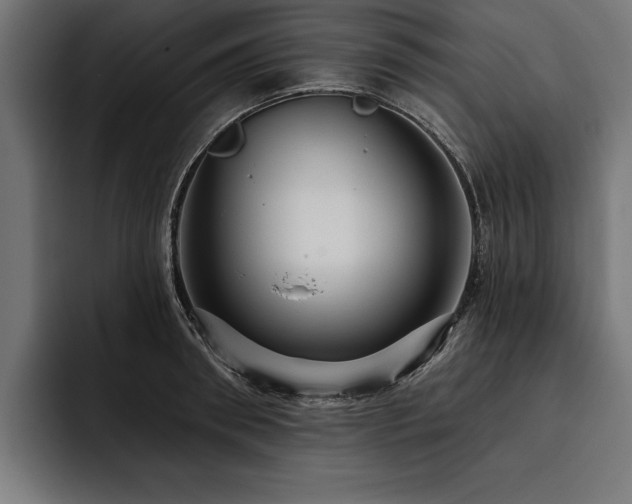 X0000093400898200710121056