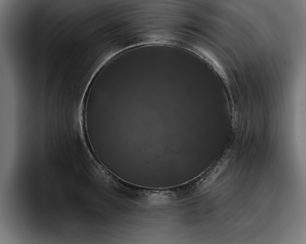 X0000093400899200710121056