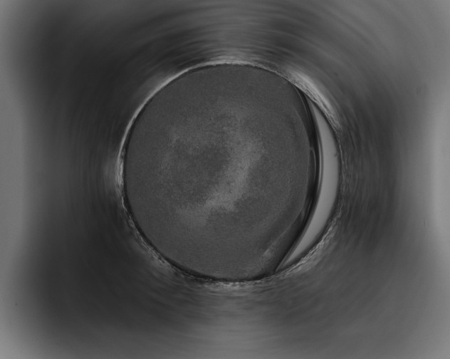 X0000093400900200710121056