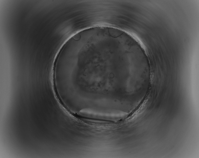 X0000093400903200710121056
