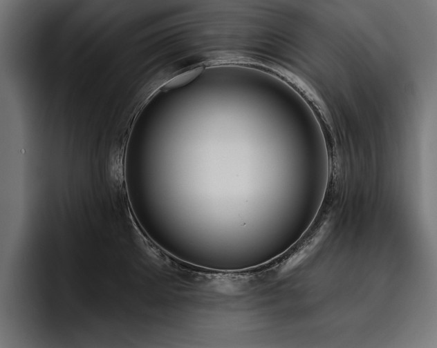 X0000093400905200710121056