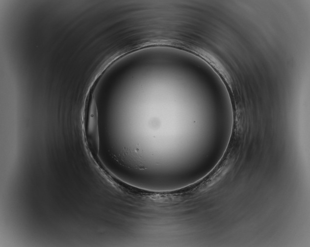 X0000093400906200710121056