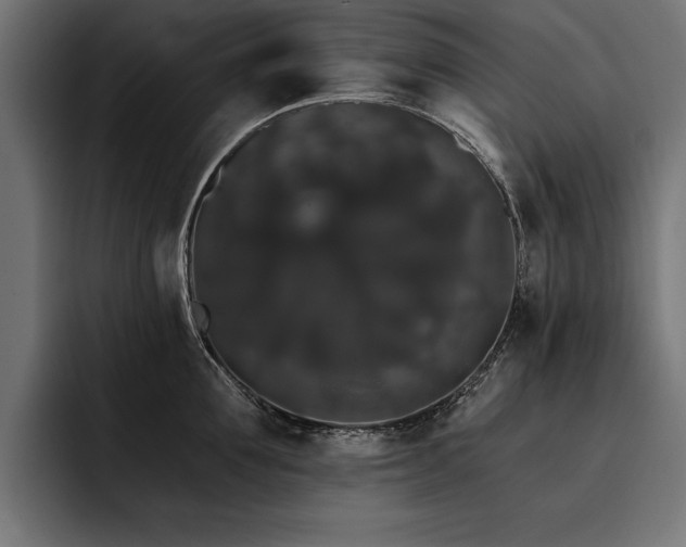 X0000093400907200710121056
