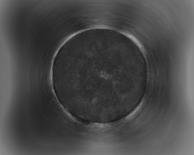 X0000093400910200710121056