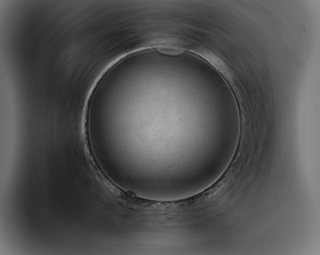 X0000093400912200710121056