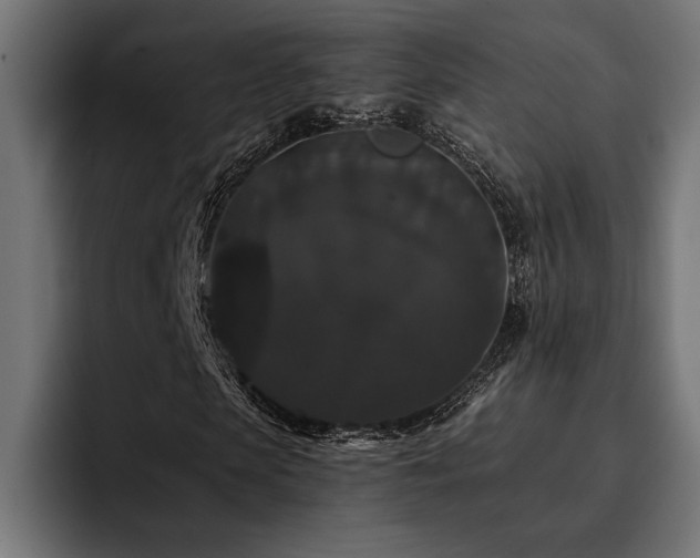 X0000093400913200710121056