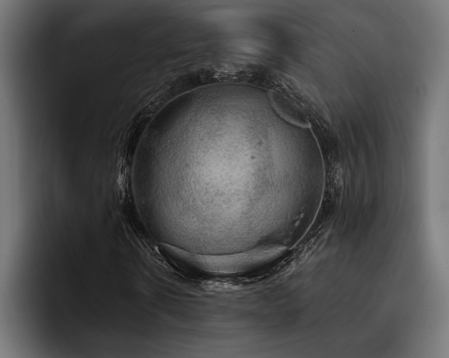 X0000093400914200710121056