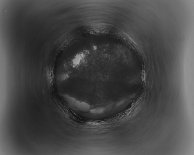 X0000093400915200710121056