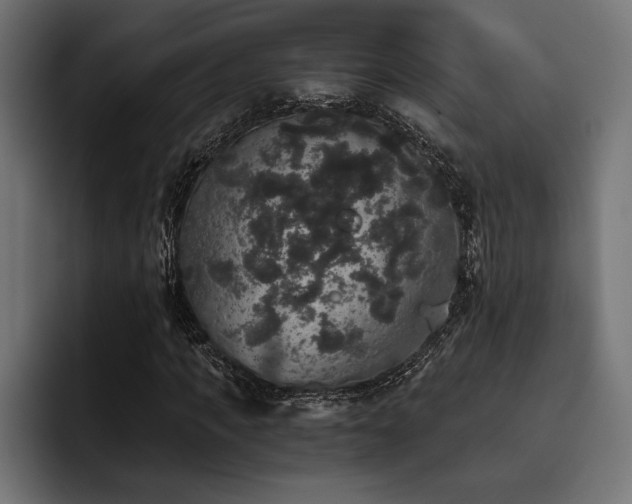 X0000093400917200710121056