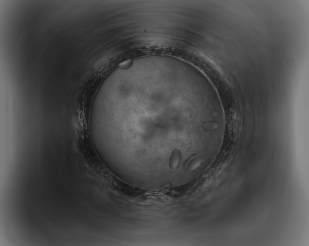 X0000093400918200710121056