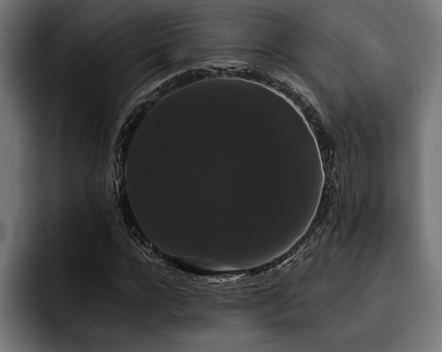 X0000093400920200710121056