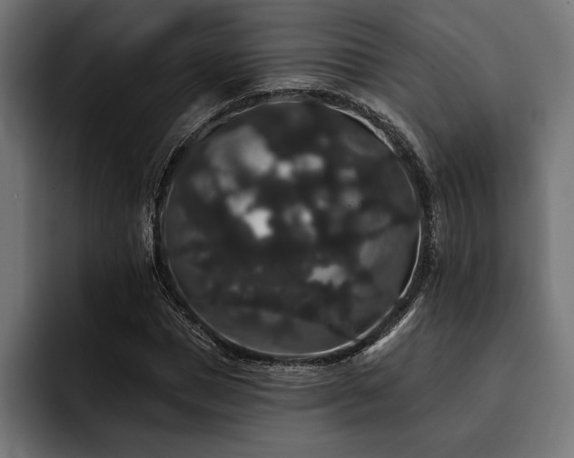 X0000093400921200710121056