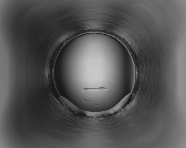 X0000093400922200710121056