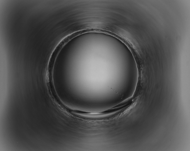 X0000093400924200710121056