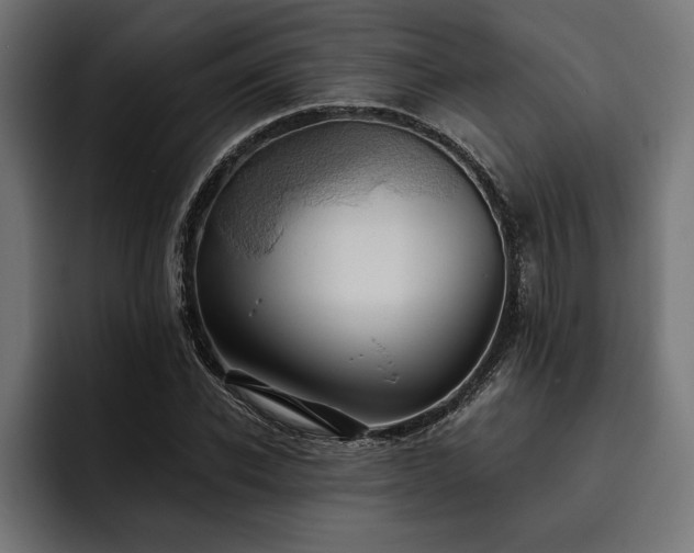 X0000093400926200710121056