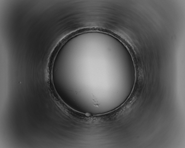 X0000093400927200710121056