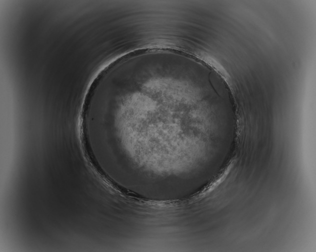 X0000093400928200710121056