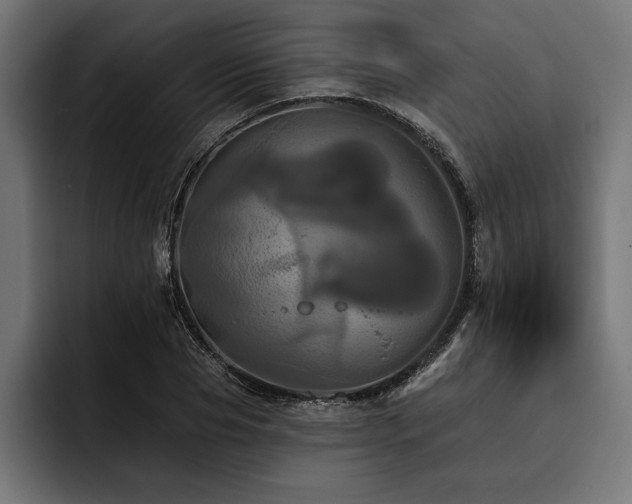 X0000093400929200710121056