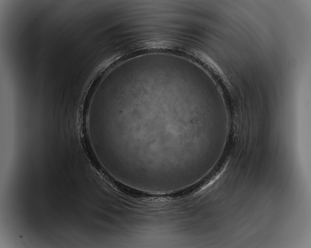 X0000093400930200710121056