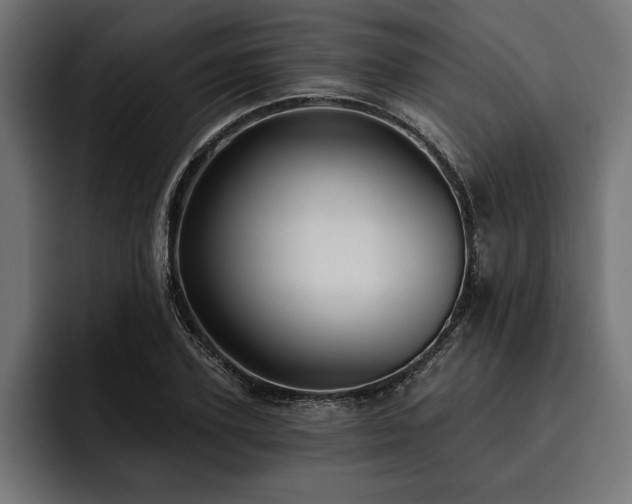 X0000093400931200710121056