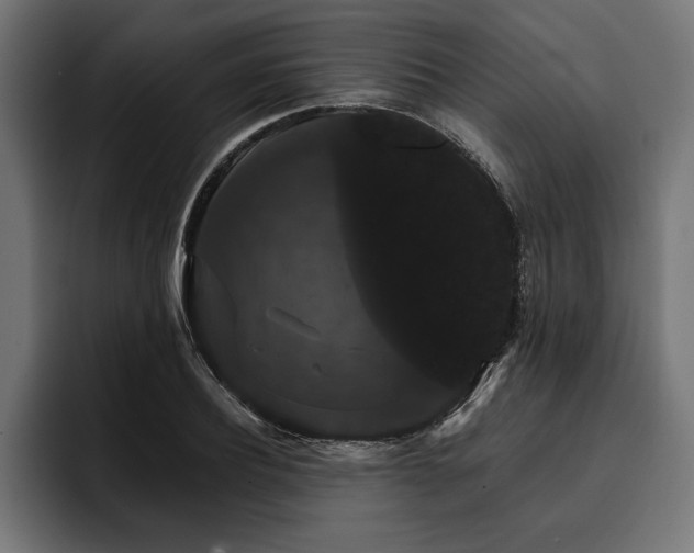 X0000093400932200710121056
