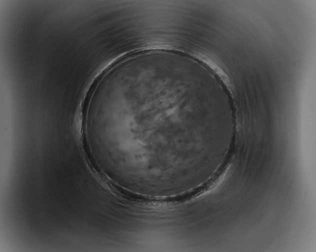 X0000093400933200710121056