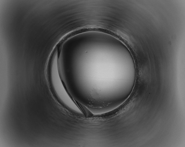 X0000093400934200710121056