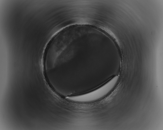 X0000093400935200710121056