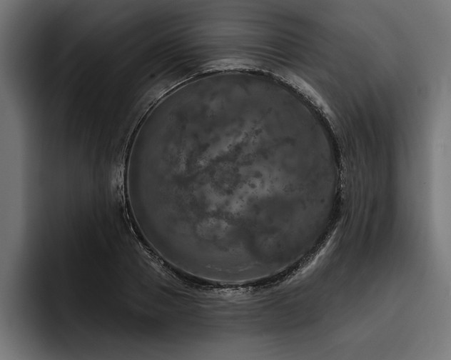X0000093400937200710121056