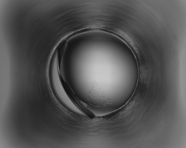 X0000093400939200710121056