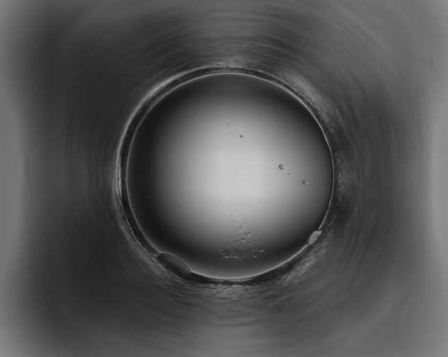 X0000093400940200710121056
