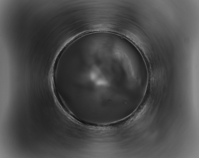X0000093400941200710121056