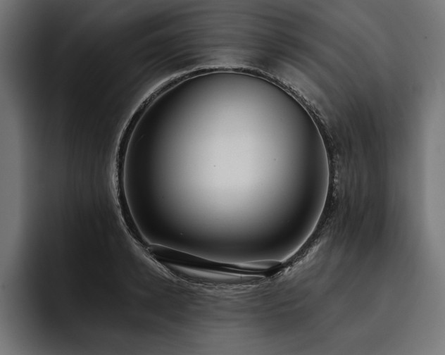 X0000093400942200710121056