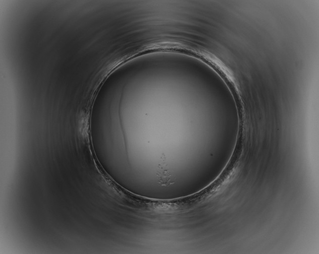 X0000093400945200710121056