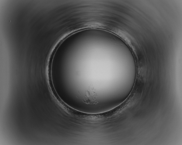 X0000093400947200710121056