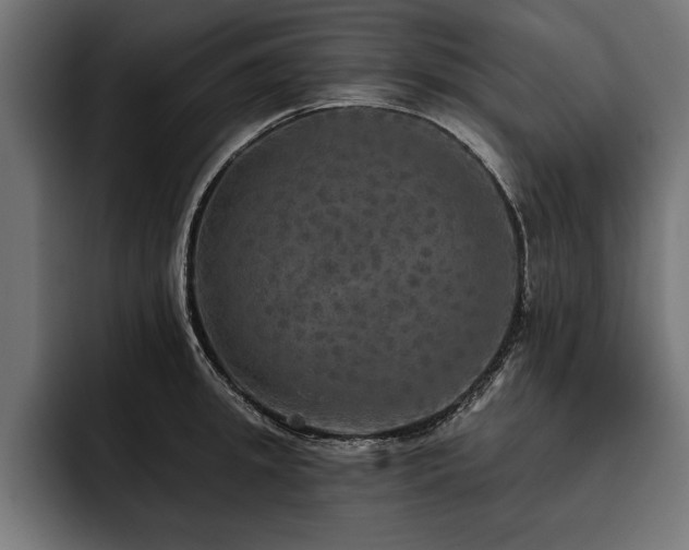 X0000093400949200710121056