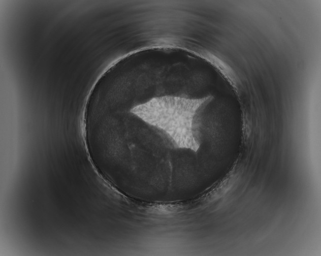 X0000093400950200710121056