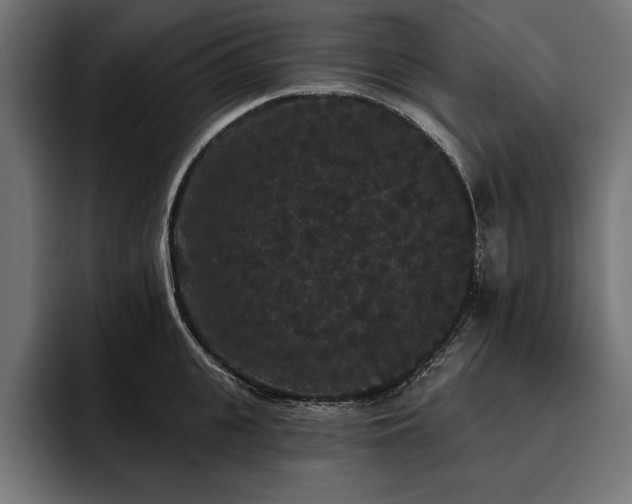 X0000093400951200710121056