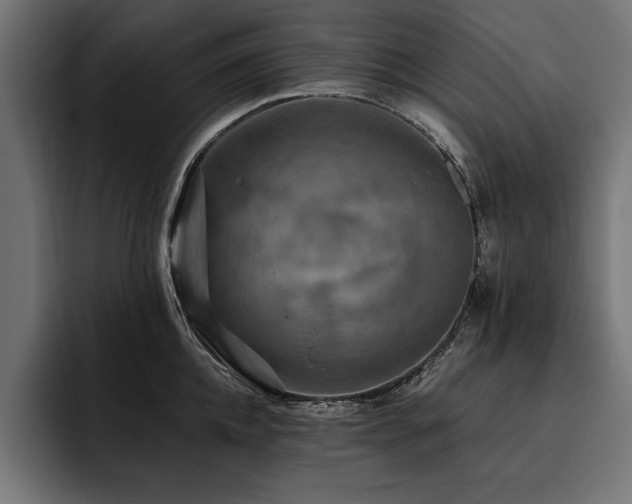 X0000093400952200710121056