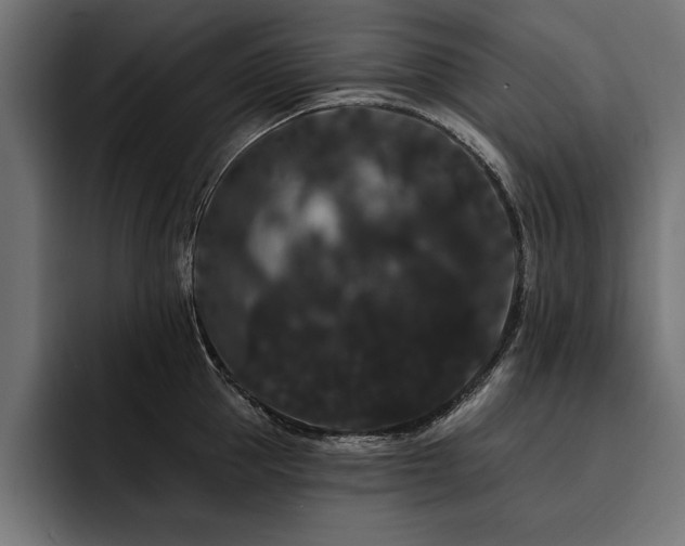 X0000093400953200710121056