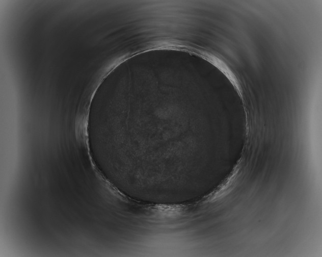 X0000093400954200710121056